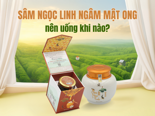 Sâm Ngọc Linh ngâm mật ong uống khi nào? Câu trả lời có thể thay đổi cách bạn dùng sâm mỗi ngày